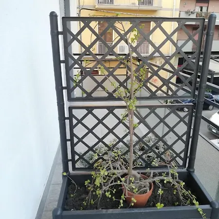 Bed E Bike Borgo * Catania